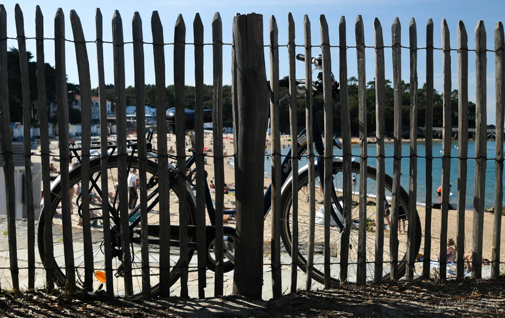Balade à vélo sur la piste cyclable traversant Noirmoutier