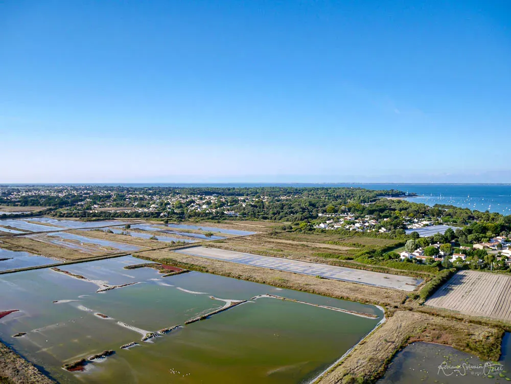 vue aérienne marais salant de Noirmoutier